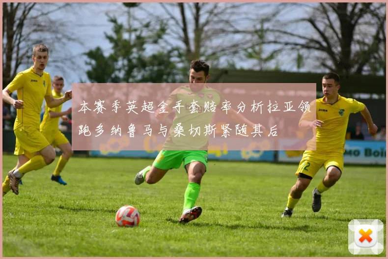 本赛季英超金手套赔率分析拉亚领跑多纳鲁马与桑切斯紧随其后