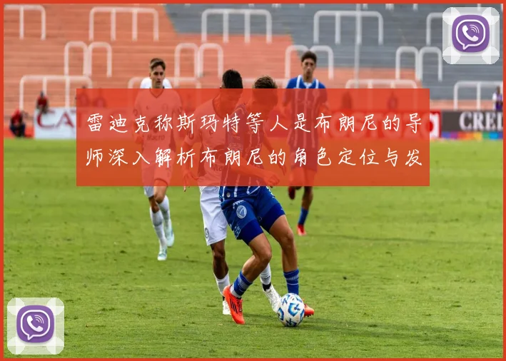 雷迪克称斯玛特等人是布朗尼的导师深入解析布朗尼的角色定位与发展方向