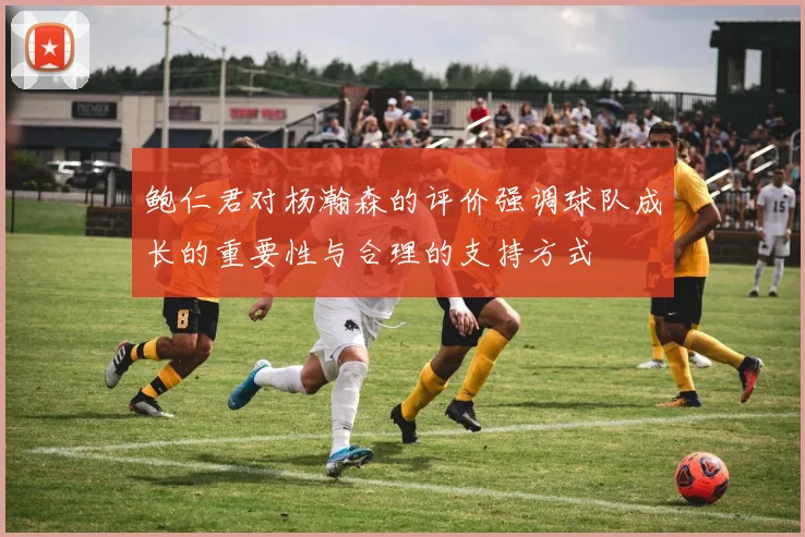 鲍仁君对杨瀚森的评价强调球队成长的重要性与合理的支持方式