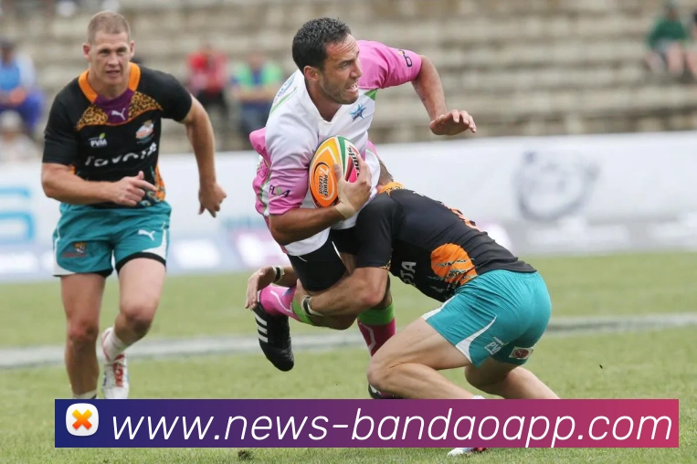 半岛体育APP 高清赛事图